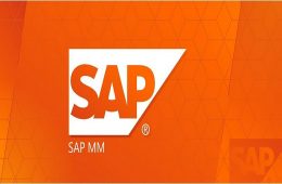 SAP MM Training Institute Marathahalli